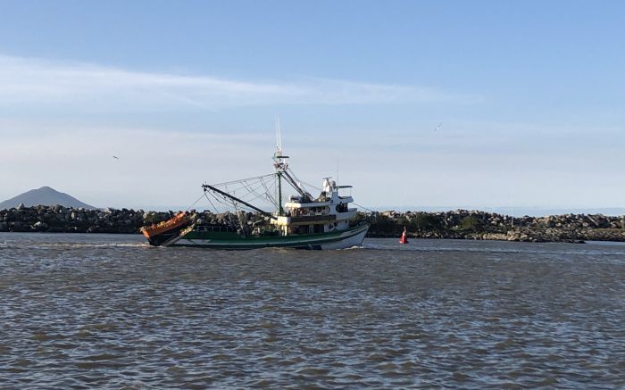 Portaria quer proteger a população de cherne-verdadeiro e peixe-batata no oceano (Foto: Divulgação)