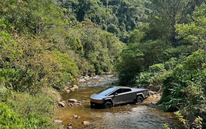 Herdeiro passou pelo Parque Nacional da Serra do Itajaí, no Faxinal do Bepe (Foto: Reprodução/Redes Sociais)