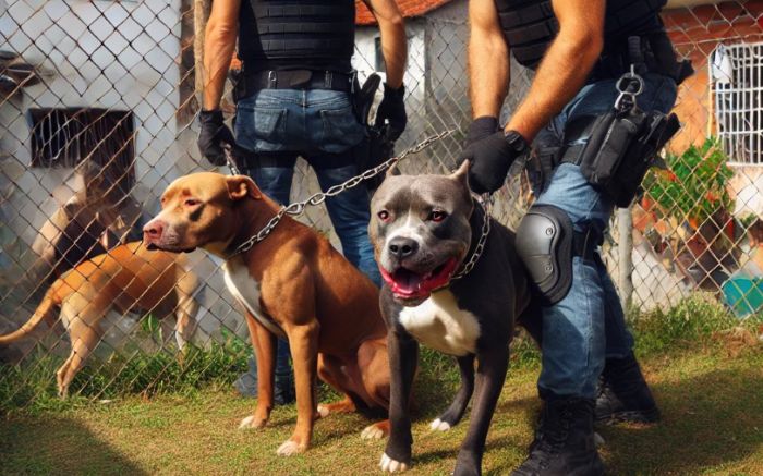 Confusão foi no bairro Itacolomi (Foto: Ilustrativa Gerada por IA)