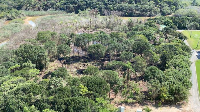  Clube deve reparar danos ambientais e pagar indenização

(Foto: Arquivo)