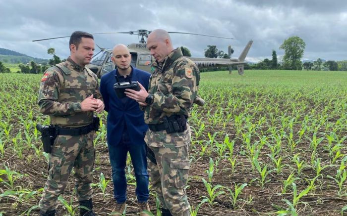 Operação Mata Atlântica em Pé mobilizou órgãos ambientais de 17 estados em setembro (Foto: Divulgação MPSC) 