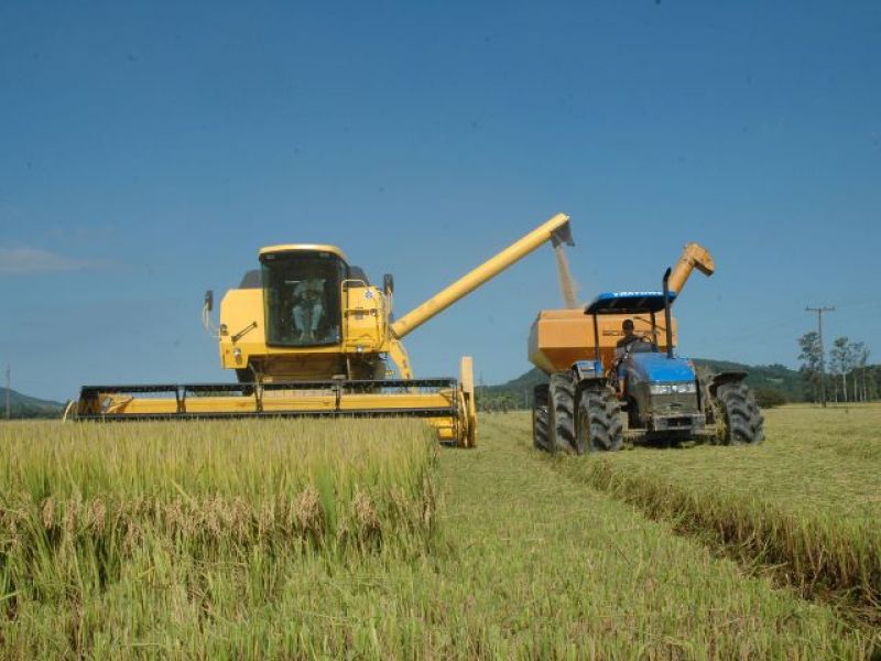 Safra de milho, soja, arroz, feijão, maça e banana deve ser melhor que anos anteriores (foto: fotos: Divulgação/Porto SFS)