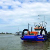 Chefão da Antaq detona Superintendência do Porto de Itajaí no rolo da dragagem 