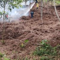 Bombeiros usam 5 mil litros de água para acabar com incêndio no Nova Esperança