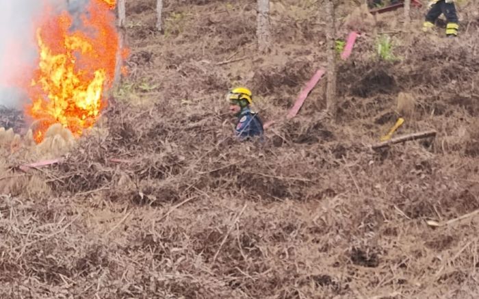 Fogo foi na manhã desta sexta (Foto Divulgação CBMSC))