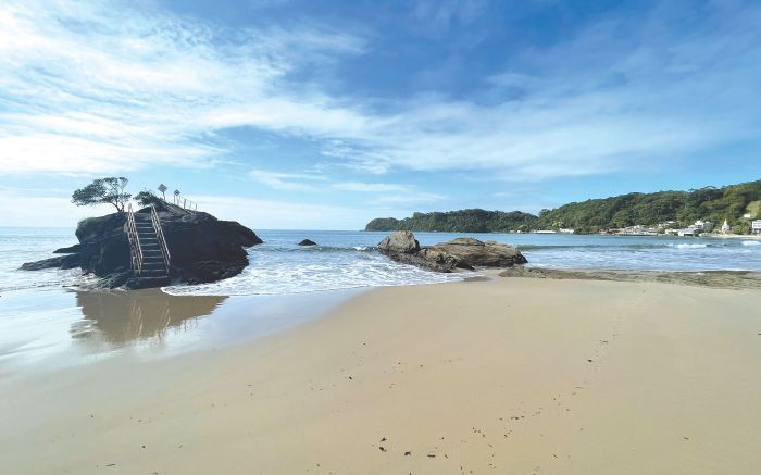 Ele disse que estava sem  tomar os remédios controlados (Foto: Arquivo)