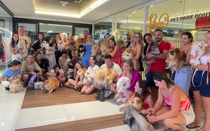 Encontro  será no sábado e é aberto a todos os peludinhos (Foto: Divulgação/Peteca Pet Park) 