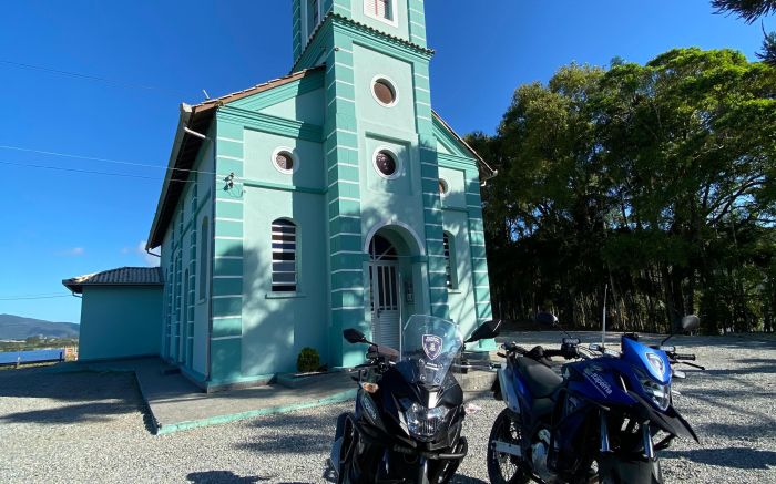 Pequenos  foram levados pra casa (Foto: Divulgação/GMI)