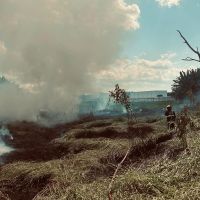 Queima de entulho causa incêndio em vegetação; veja o vídeo  