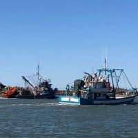 Publicado edital de inscrição de barcos pra pesca da tainha  