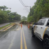 Deslizamento de terra deixa acesso a Cabeçudas em meia pista