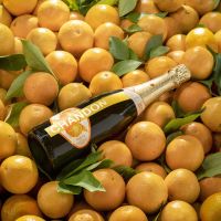 Chandon lança espumante feito com laranjas 100% orgânicas no Brasil 