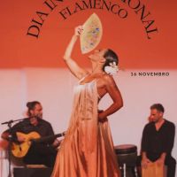 Danos na rede elétrica do Teatro Bruno Nitz adiam apresentação de dança flamenca