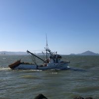 Governo discute cotas de pesca da tainha até para artesanais