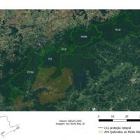 População de animais em floresta de SP cai 77% em uma década