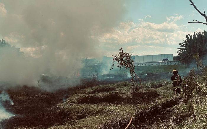 Bombeiros usaram quatro mil litros de água para apagar o fogo (Foto: Divulgação CBVI)