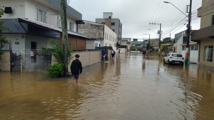 Bairros tiveram ruas alagadas e queda de árvores (Foto: Elton Damásio)