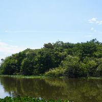 Parque Ilha das Capivaras pode virar um parque de verdade após 20 anos