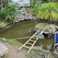 Lagoa do viveiro municipal passa por manutenção