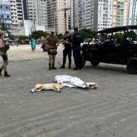 Morador de rua morre afogado na praia; dog dele ficou na praia desolado