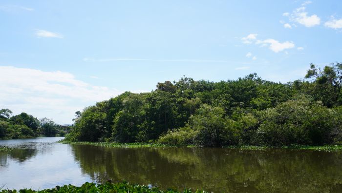 Ilha é refúgio ambiental entre os bairros Ressacada e Cidade Nova 
 (Foto: João Batista)