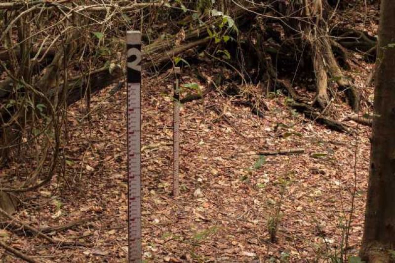 Réguas do Monitoramento Ambiental Territorial Independente na piracema do Odilo, na Volta Grande do Xingu, que, antes da usina, sempre alagava em fevereiro, mas agora está totalmente seca