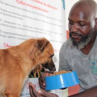 Navegantes cria banco para alimentar e cuidar de animais