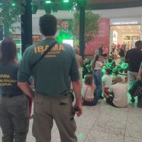 Entretenimento ou exploração? Especialistas analisam caso de animais expostos em shopping