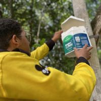 Tecnologia contra a dengue completa um ano na Valley School sem registros da doença