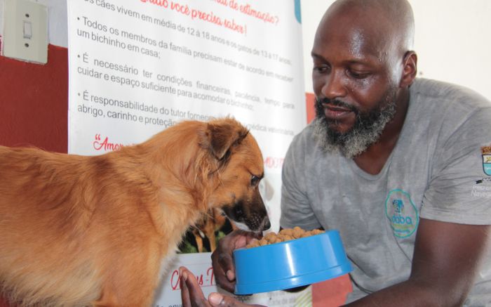 Alimentos, remédios e acessórios serão distribuídos gratuitamente (Foto: Divulgação)