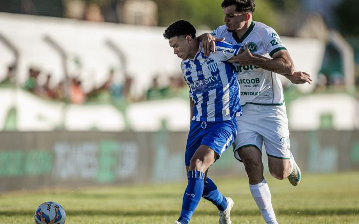 Leão joga por um empate para ser campeão (Foto: Divulgação/Avaí)