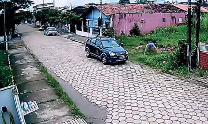 Doguinha correu atrás da Biz ao sentir que a tutora ia embora (Foto: Redes Sociais / Divulgação)