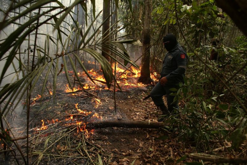 Força-tarefa composta por IBAMA, Defesa Civil, Exército e Corpo de Bombeiros montada para combater as chamas só atuou no território por cerca de uma semana