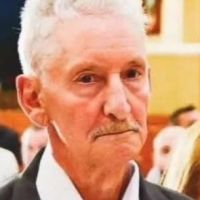 Idoso morre ao cair de árvore enquanto colhia pinhão