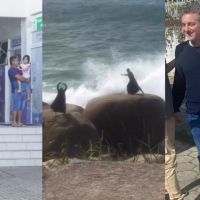 Emergência na saúde, dança nas pedras e Huck em SC: o que bombou nas redes do DIARINHO