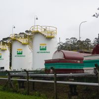 miniatura galeria