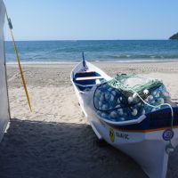 O que você acha sobre as restrições da pesca artesanal da tainha?