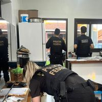 miniatura galeria
