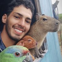 Capivaras viram febre na China e já são tratadas como pets fofos