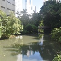 BC pode pagar multa de R$ 1 milhão se não apresentar projeto de recuperação do canal do Marambaia