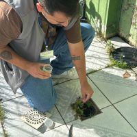 Itajaí dá gás em ações para brecar surto de dengue nos bairros mais afetados