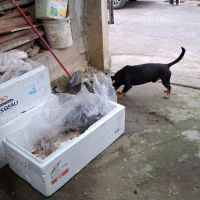 miniatura galeria