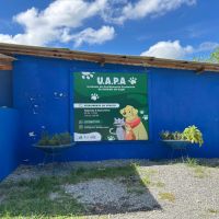 miniatura galeria