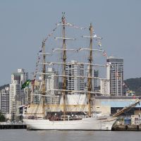 Cisne Branco estará aberto para visitação em Itajaí
