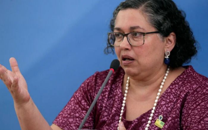 Suely Araújo presidiu o Instituto Brasileiro do Meio Ambiente e dos Recursos Renováveis (Ibama) 
(foto: divulgação)