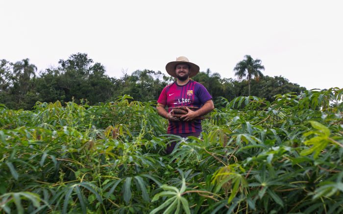 Aipim da terra preta é mais macio, cozinha mais rápido e é de Itajaí (Foto: Paulo Giovany)