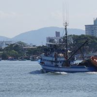 Safra industrial da tainha começa hoje