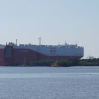 Navio gigante da BYD deixa Itajaí após desembarque histórico de veículos