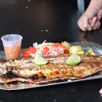 Festa da Tainha de BC começa nesta sexta