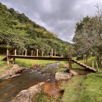 miniatura galeria